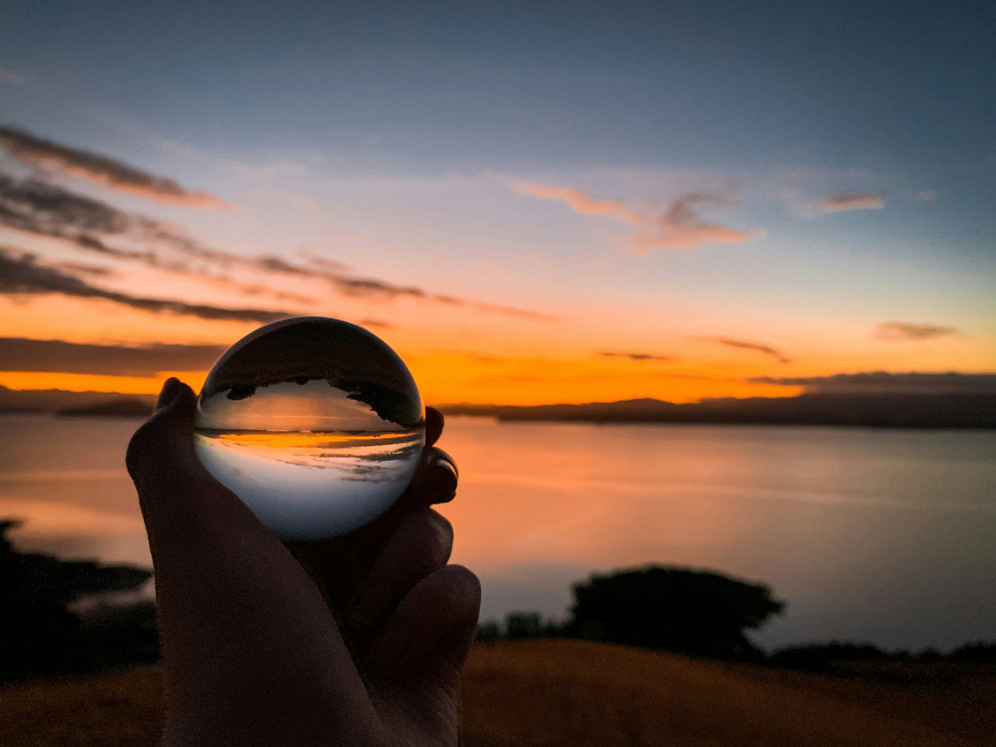 fiona-clyde-t99nDEyQzAY-unsplash (1)
