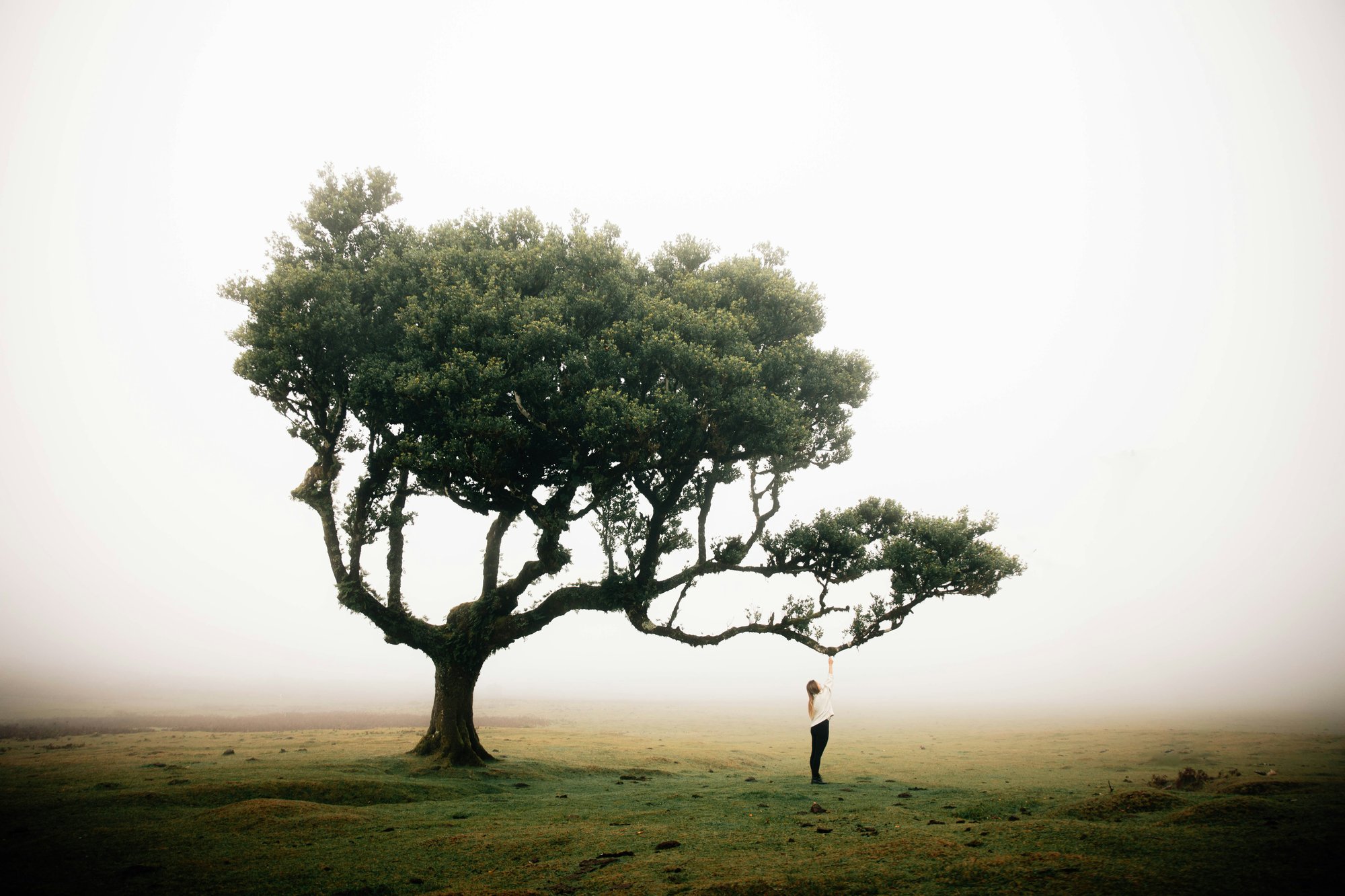 johannes-kopf-923NjktYW7k-unsplash (1)