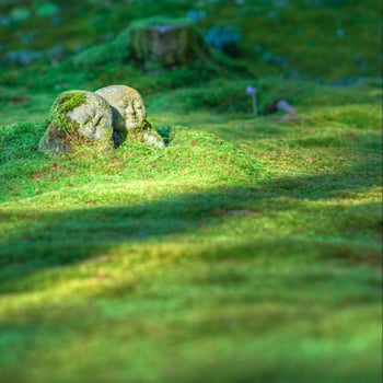 jordy-meow-OQbppjf5ouc-unsplash