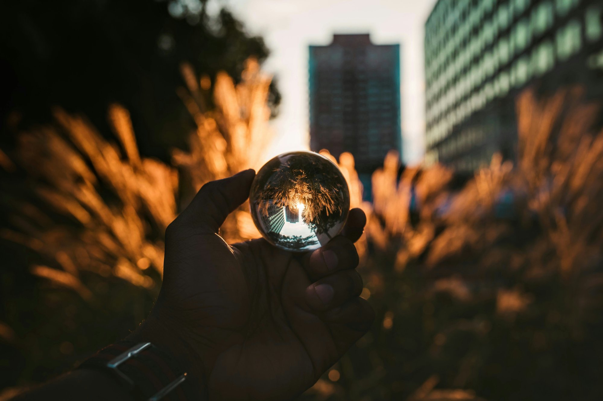 kyle-sudu-u7gCPkoluTo-unsplash